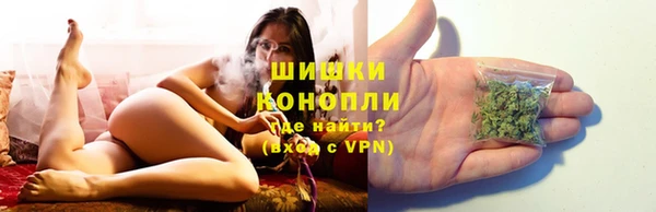 ешки Михайлов