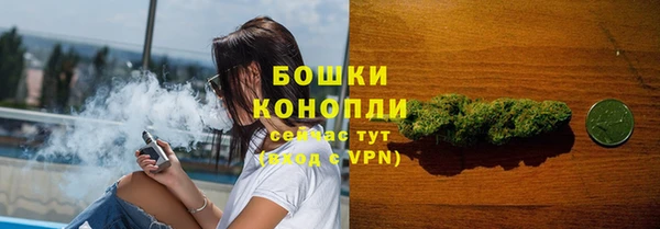 ешки Михайлов